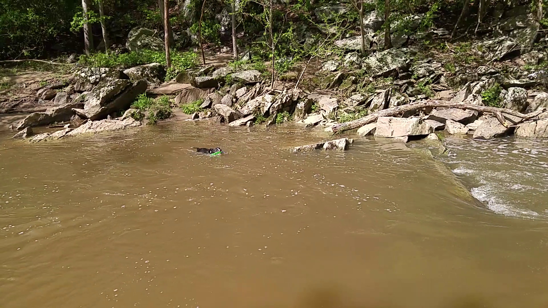 Lewis v. River